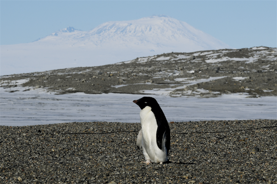 EWT secures wind turbine supply deal in Antarctica Windpower Monthly