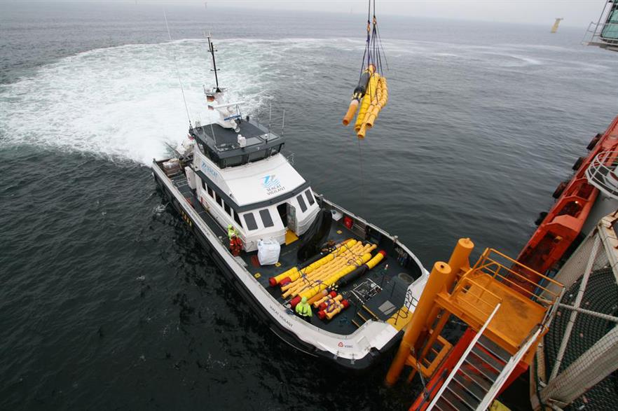 Seacat Services said offshore wind developers were facing a shortage of up-to-standard vessels (pic: Seacat Services / Timco Houkema)