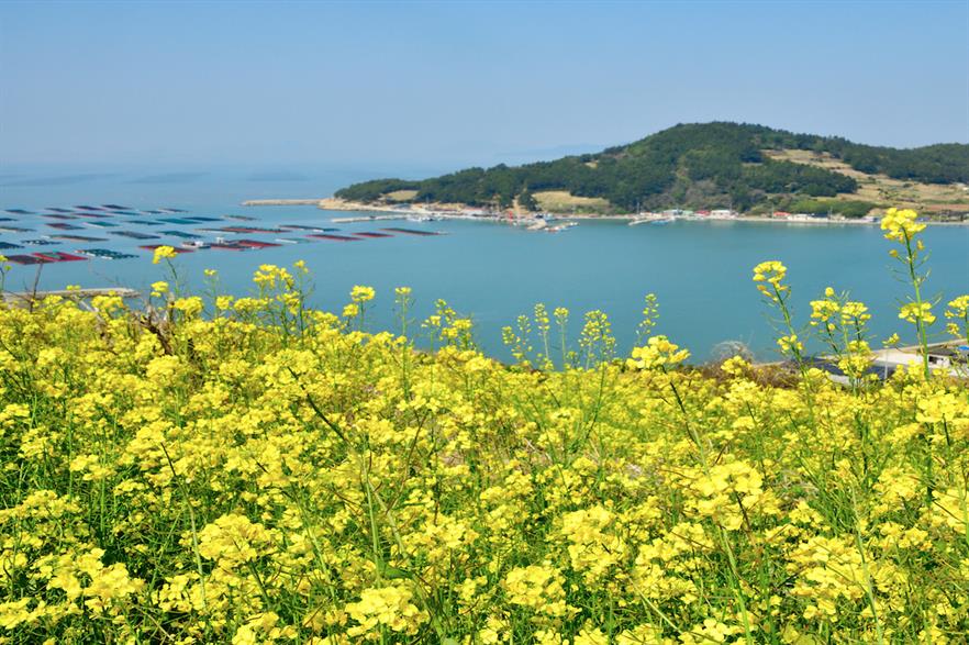 Korea South-East Power Company plans to build its project off the coast of South Jeolla (pic credit: shinnascf/Imazins via Getty Images)