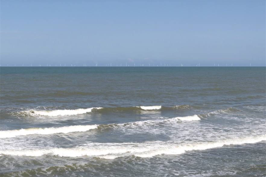 A visualisation of what the wind farm might look like from Ohawe Beach in Taranaki, New Zealand (pic credit: Plain Concepts)