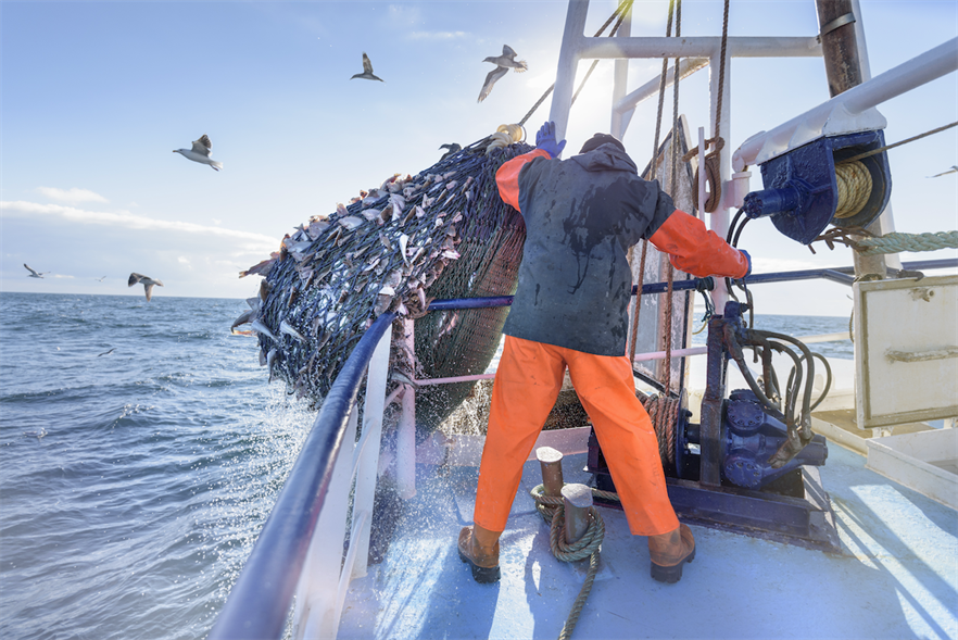 The wind and fishing industries have often come into conflict in the past (pic credit: Monty Rakusen/Getty Images)