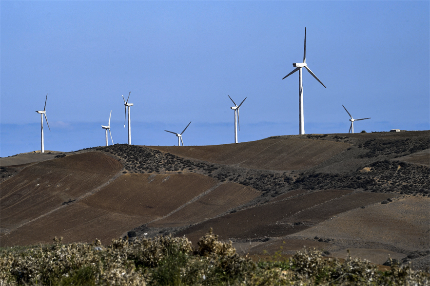 Tunisia has 242MW of operational wind power capacity, according to Windpower Intelligence (pic credit: Fethi Belaid/Getty Images)
