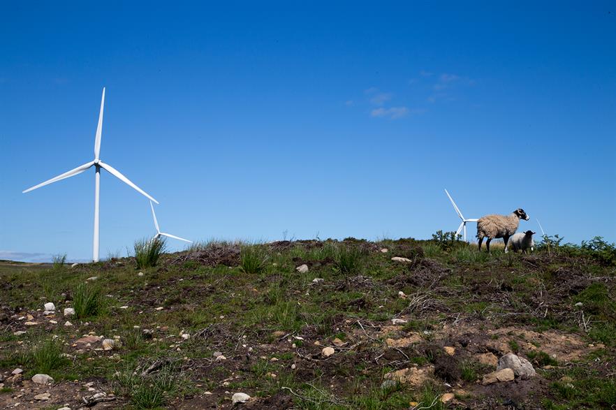 Vattenfall's wind unit benefitted from higher electricity prices, despite lower wind speeds in H1