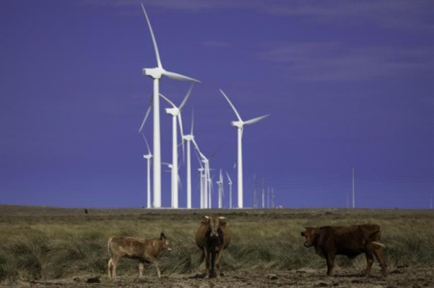 A number of wind farms are concentrated in the Texas Panhandle 