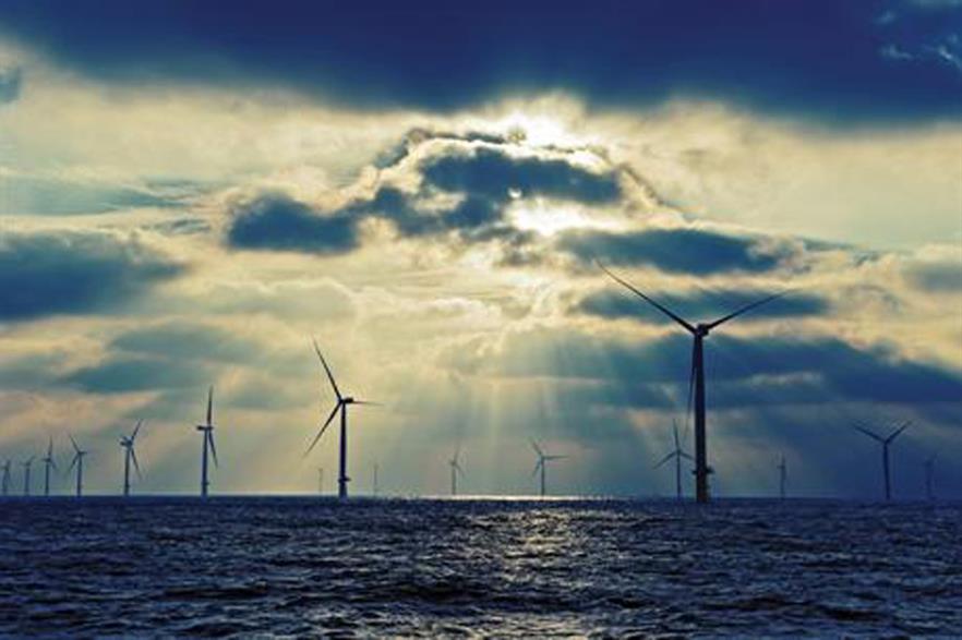 Wind Minds will provide consultancy services to projects in Europe, Asia, and America
