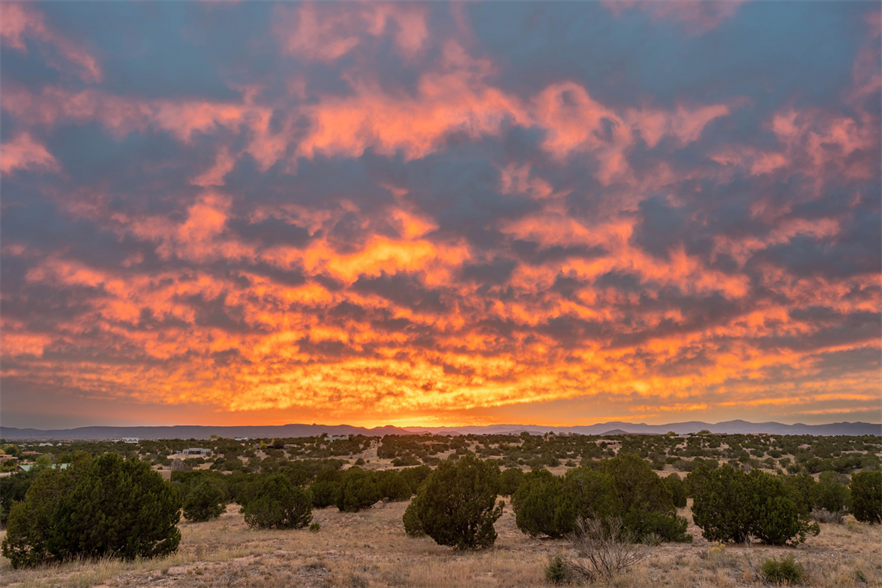 The SunZia Transmission line will run between central New Mexico and south-central Arizona (Image credit: Brian Hicks / 500px/Getty Images)