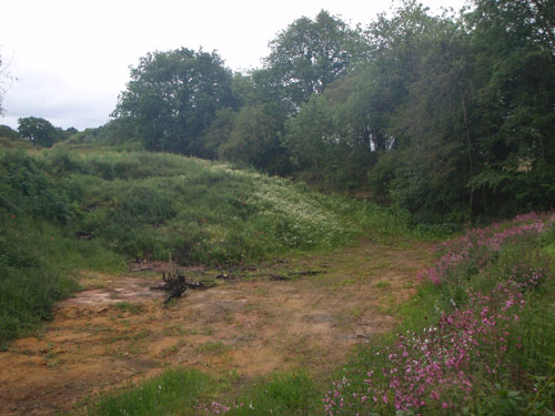 Land off Mile Flat (Image Credit Staffordshire CC)