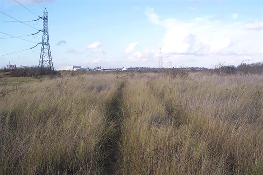 Swanscombe Peninsula: special site. Photograph: David Anstiss/Geograph