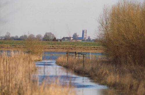 Ouse Washes: scheme will protect lowlands (Image credit: RSPB)