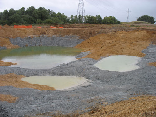 Million Ponds: creating sustainable habitats (Image credit: Jim Fairclough)