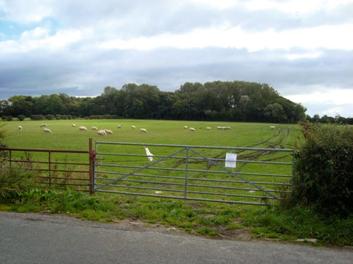 Crook Gate Lane: unnatural shape of the lake would result in a visually obtrusive development (Lancashire County Council)