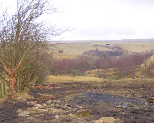 Permission has been granted for the surface extraction of coal at Halton Lea Gate in Northumberland (credit: Wardell Armstrong)