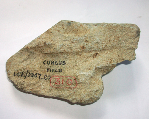 Stone found near Stonehenge. Credit: University of Leicester