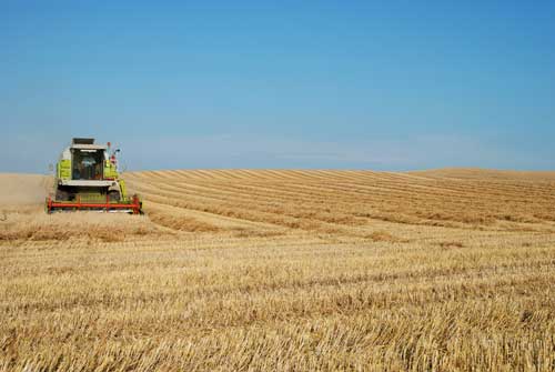 Agriculture: potash is a vital strategic resource used in the production of fertilisers for farming (Image credit: Lars Sundstrom)