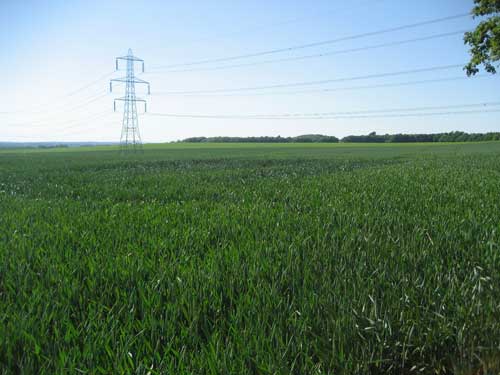 Ledsham: new landform following green belt coal extraction would be imposing and unnatural (Image credit: Leeds City Council)