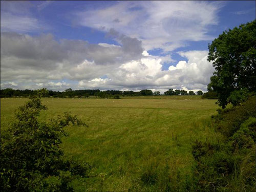 Well Hill Opencast Site (Image Credit: Northumberland CC)