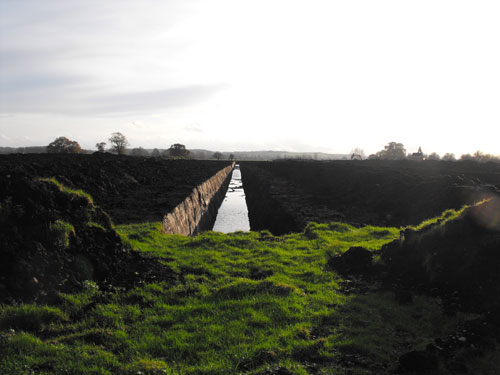Land at Cradlebridge (Image Credit: Somerset CC)