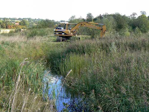 Otley: restored quarry is home to a variety of protected and UK Biodiversity Action Plan priority species (Image credit: Hanson UK)