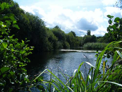 Idle Valley Nature Reserve (Image credit: Di Fisher)