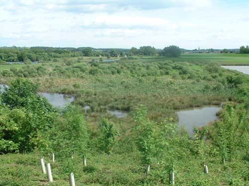Marfield Wetlands, the 94 acre site near Masham. Image Lafarge