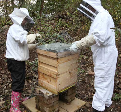 CEMEX is hostins six hives at its Taffs Well quarry near Cardiff