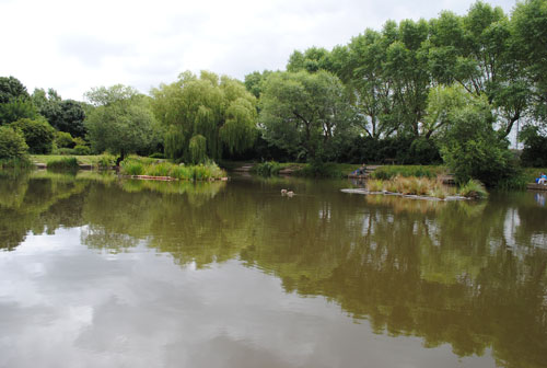 Freshwater habitats: a prime restoration option