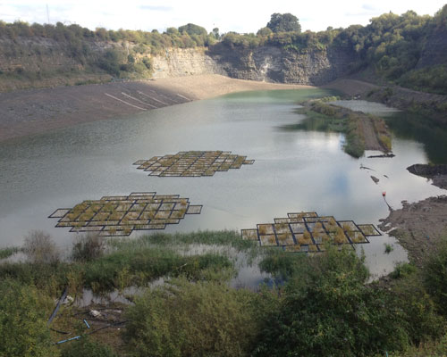A new nature reserve is being created at a former CEMEX quarry and landfill site in Rugby, Warwickshire. Credit: CEMEX