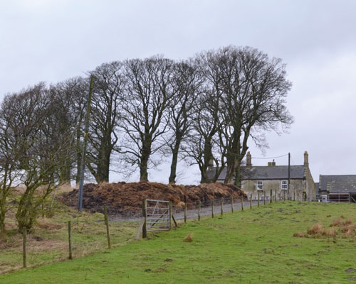 This farmhouse in the middle of the 30 hectare Halton Lea Gate site will be retained during development and it will eventually form the centre of the equestrian facility after restoration. Credit: Wardell Armstrong