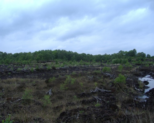 Campaigners at odds with minerals sector on sites. Picture: CPRE
