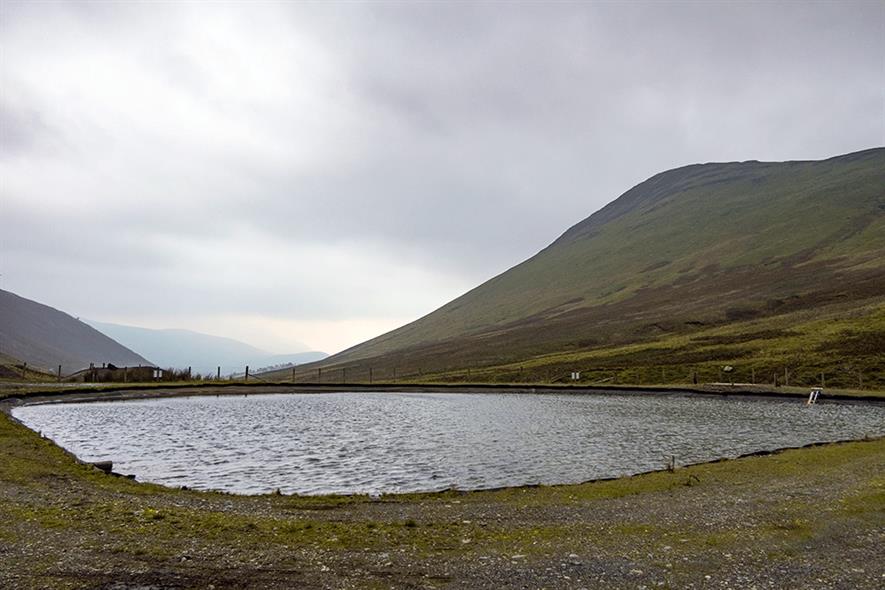 Vertical flow ponds intercept water from the Force Crag mine in Cumbria and filter out toxic metals. Photograph: Coal Authority