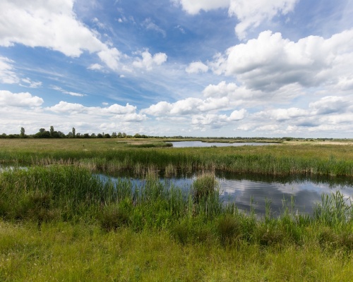 The latest sustainability report is good news for the environment. Picture: Hansons