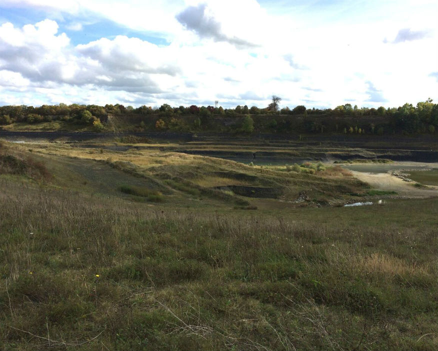 Southam quarry, Warwickshire, reintroduced wildlife. Picture: Cemex/RSPB
