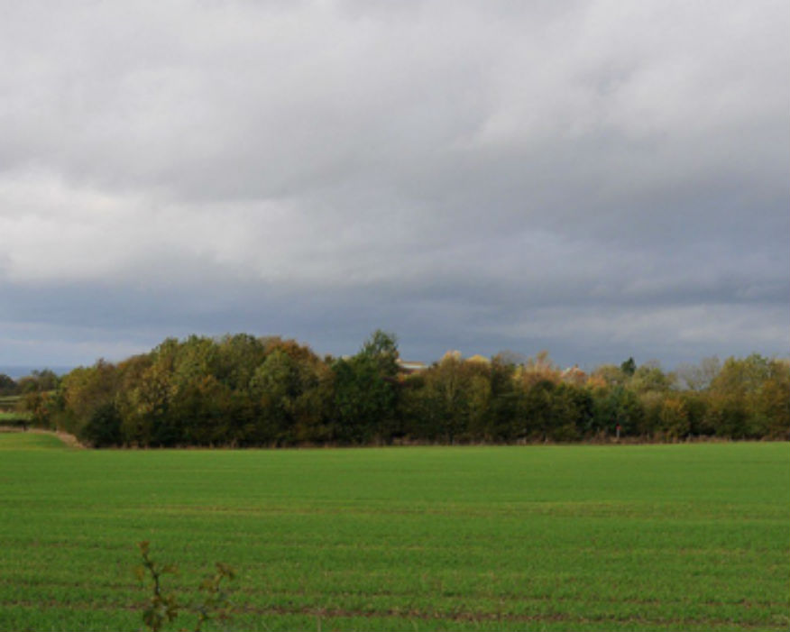 The screened fracking site at Kirby Misperton. Picture: Third Energy