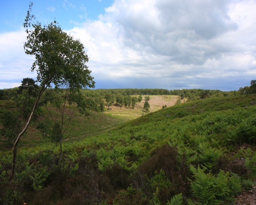 Restoration at Rugeley quarry. Picture: Neil Lambert/RSPB