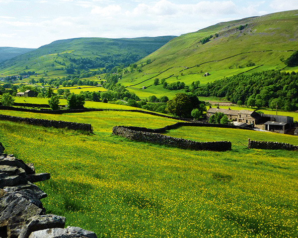 Muker meadows in the Yorkshire Dales. Photograph: John Starkey