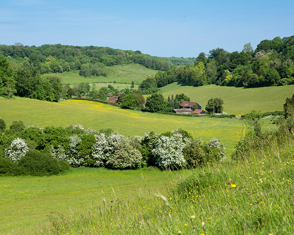 Kent Downs now an area of outstanding natural beauty, is the site of a former chalk quarry. Photograph 123RF