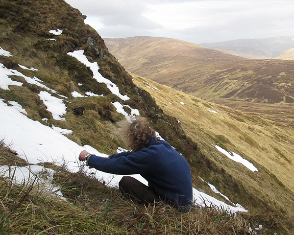 Montane willow cuttings are being trialled. Photograph: Eadha Enterprises