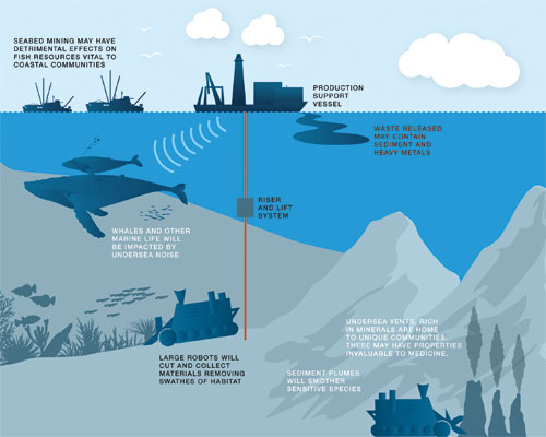 Potential impacts of seabed mining on the marine environment. Credit: Greenpeace International