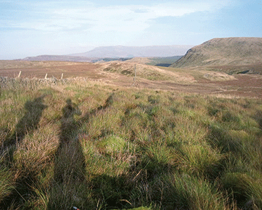 Peatland: use of satellites to gather data (credit: Rezatec)
