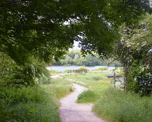 Hanson UK won a 2013 Biodiverstiy Award for restoration of its Upper Nene Valley gravel pits. Credit: MPA