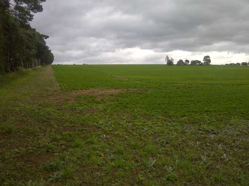 Mundford Road (Image Credit: Norfolk CC)