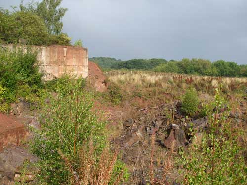 Bradgate: scheme for importation of 90,000m3 of waste soils to restore a borrow pit approved (Image credit: Leicestershire County Council)