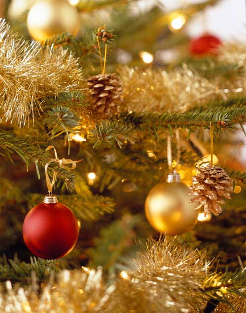 Londoners are being encouraged to recycle Christmas trees. Image credit: Jonathan Pollack