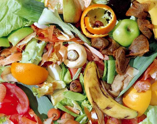 Food waste: potential for significant savings (Image credit: Waste Watch)