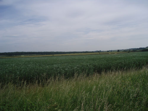 Stud Farm: AD plant to use poultry manure mix (Image credit: Nottinghamshire County Council)