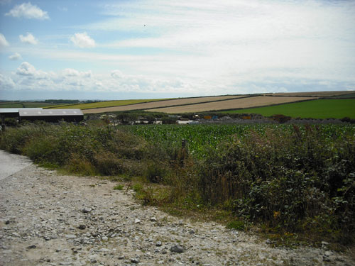 100-074-675 (Image Credit: Cornwall Council)