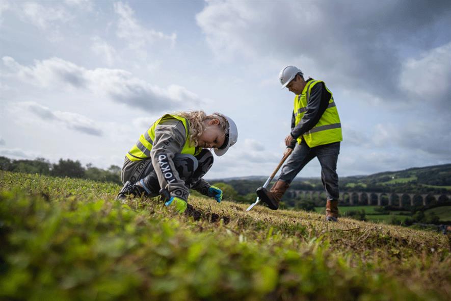 To support the launch of its Neutrality service FCC has committed to planting a tree on behalf of all new customers. Photograph: FCC