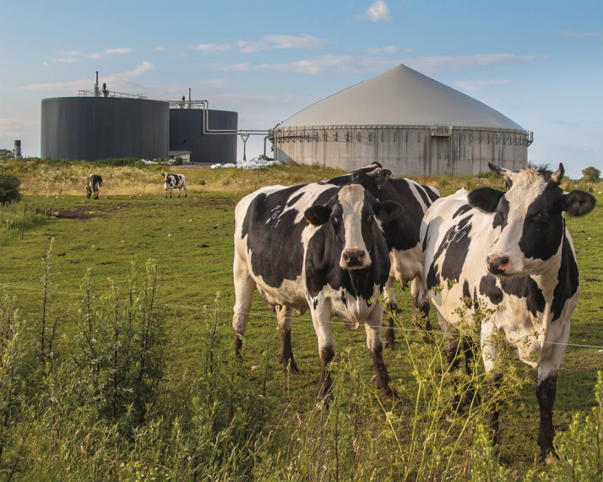 The global anaerobic digestion (AD) industry is set to reach $1trn. Picture: ADBA