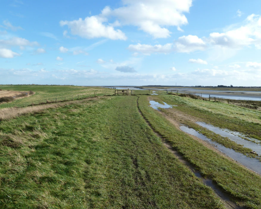Hadleigh Marsh landfill was used from 1980 to 1987. Picture: QMUL