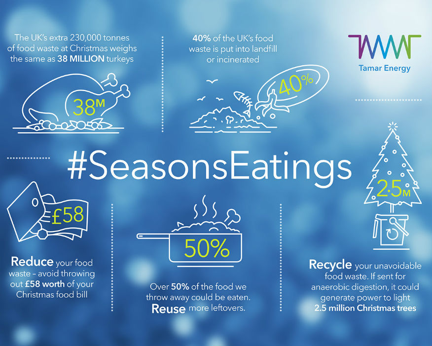 Christmas dinner plate scrapings could to light up 2.5 million Christmas trees. Picture: Tamar